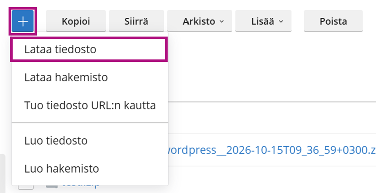 Varmuuskopion lataaminen levytilaan tapahtuu plus-merkistä avautuvasta valikosta.